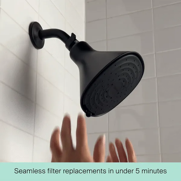 Being Frenshe Filtered Showerhead Set