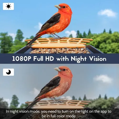 Birdkiss Smart Bird Feeder Camera: AI Identify WiFi Camera with Solar Pannel - Auto Capture Bird Videos & Instant Notifications, Ideal Gift for The Bird Lover