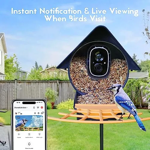 Birdkiss Smart Bird Feeder Camera: AI Identify WiFi Camera with Solar Pannel - Auto Capture Bird Videos & Instant Notifications, Ideal Gift for The Bird Lover