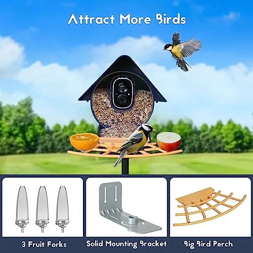 Birdkiss Smart Bird Feeder Camera: AI Identify WiFi Camera with Solar Pannel - Auto Capture Bird Videos & Instant Notifications, Ideal Gift for The Bird Lover