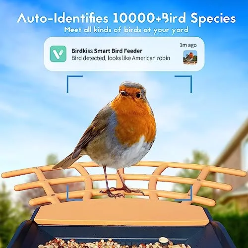 Birdkiss Smart Bird Feeder Camera: AI Identify WiFi Camera with Solar Pannel - Auto Capture Bird Videos & Instant Notifications, Ideal Gift for The Bird Lover