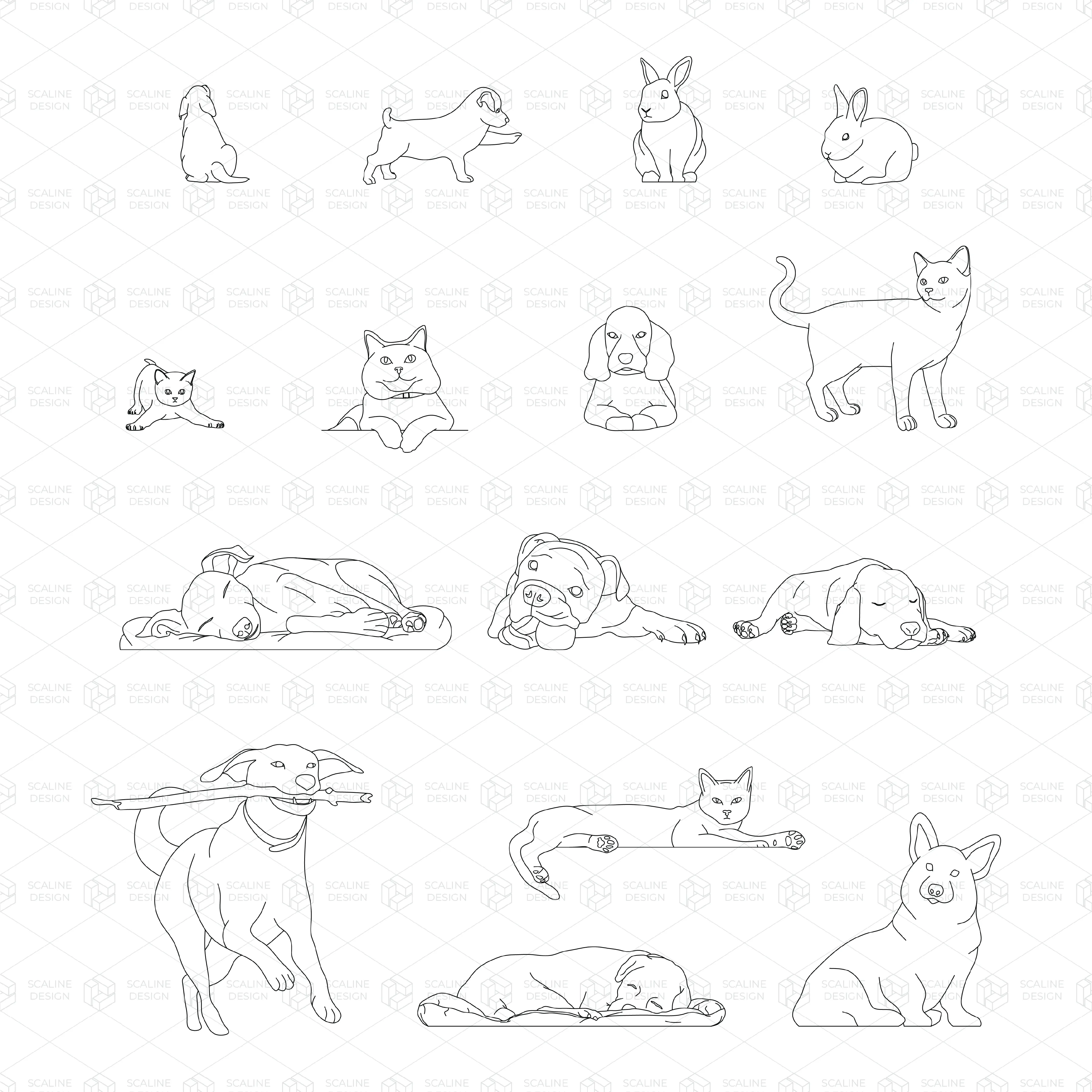 Cad Pets Domestic Animals