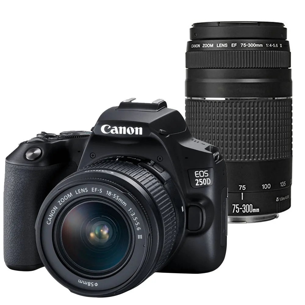 Canon EOS 250D / Rebel SL3 24.1MP 4K Digital SLR Camera with 18-55 and 75-300mm Lenses