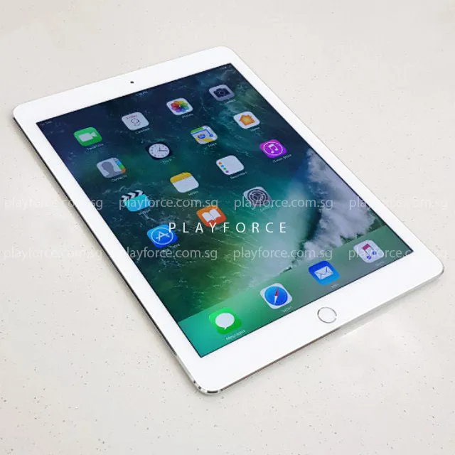 iPad Air 2 (64GB, Cellular, Silver)