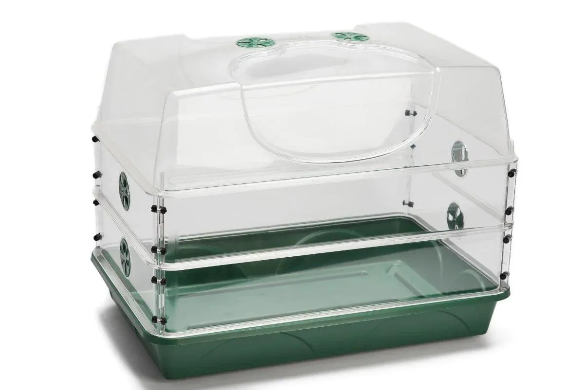 Large Domed Propagator with Double Height Extender Set