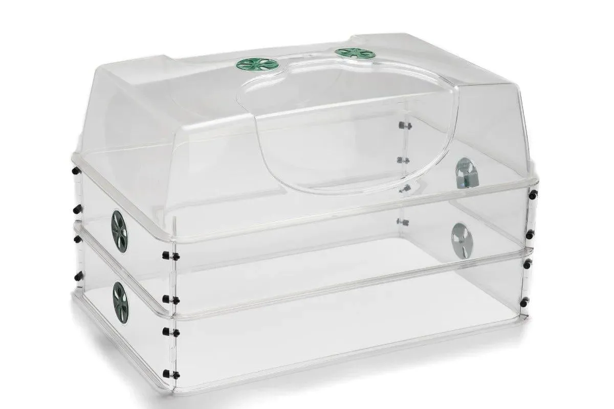 Large Domed Propagator with Double Height Extender Set