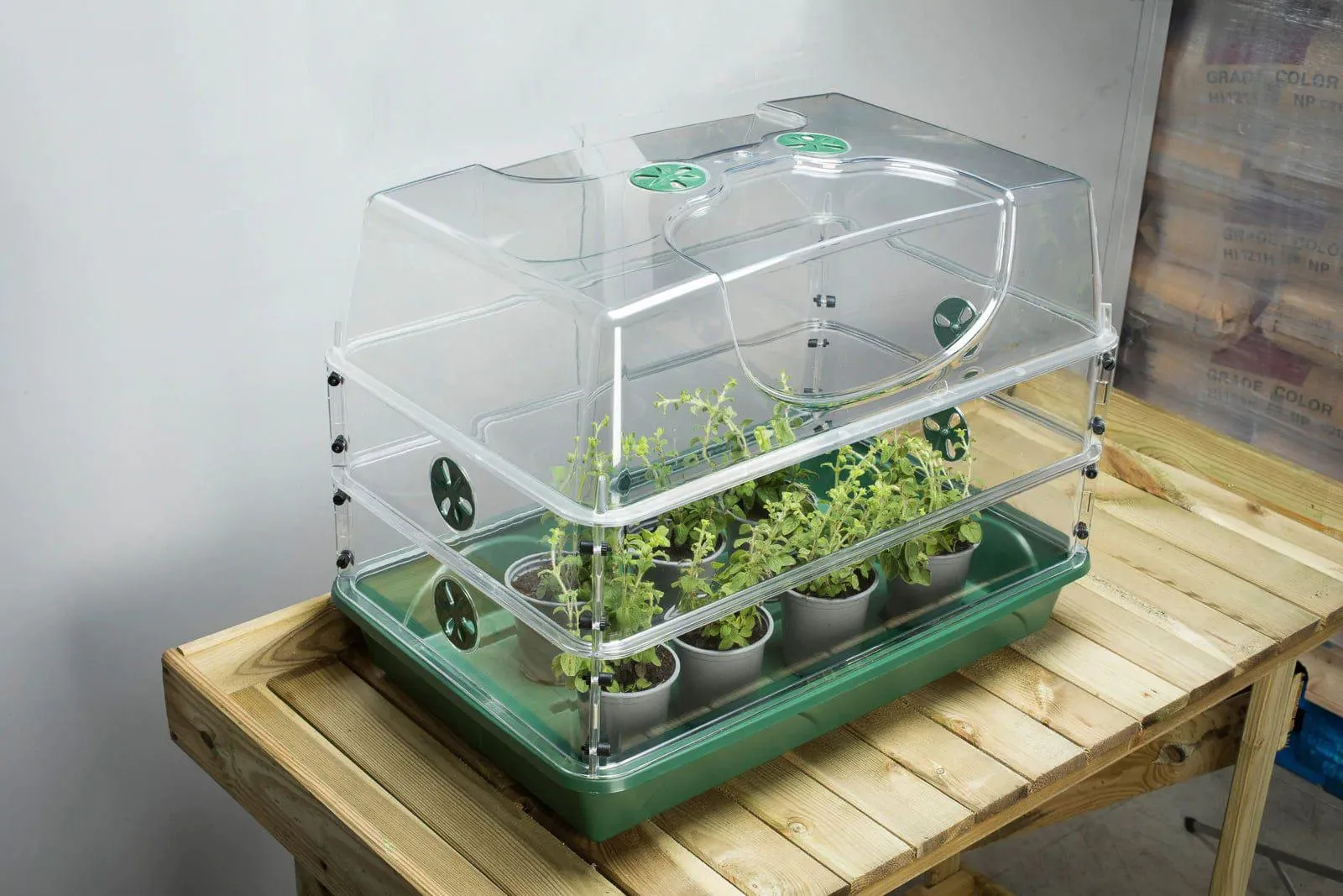 Large Domed Propagator with Double Height Extender Set