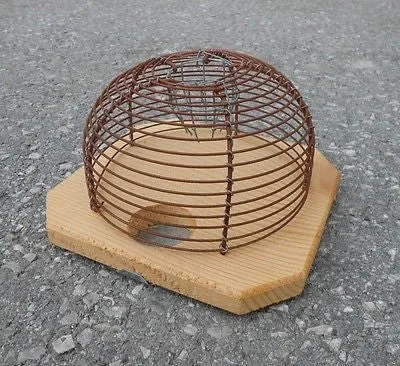 Mouse Trap Live Mice Catcher Traditional European Vintage Look