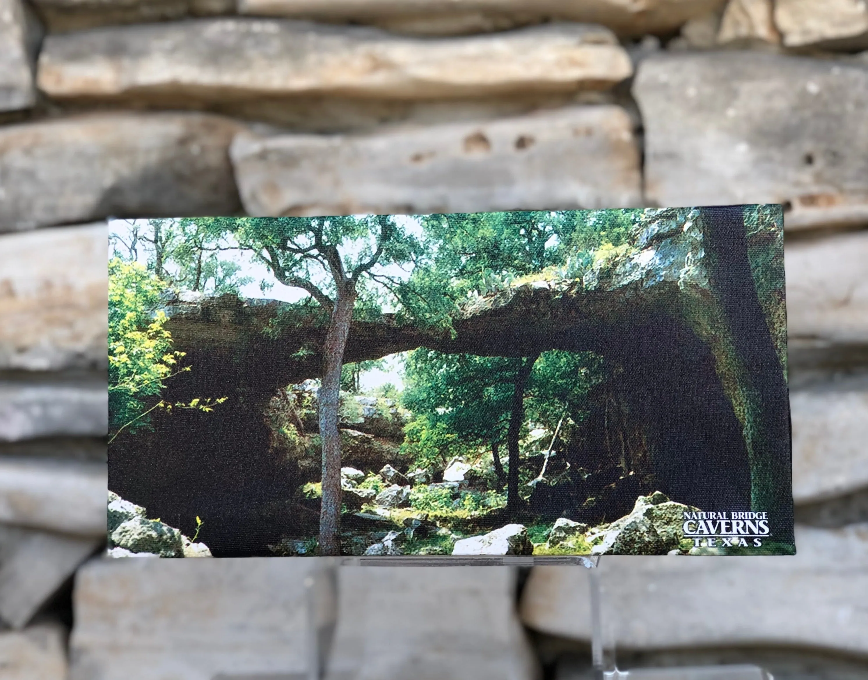 Natural Bridge Canvas