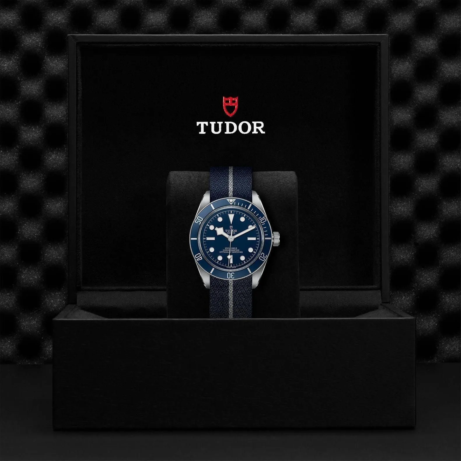 TUDOR Black Bay 58 39mm Case, Blue Dial, Blue Fabric Strap (M79030B-0003)