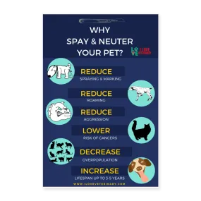 Why spay and neuter your pet? Poster 8x12